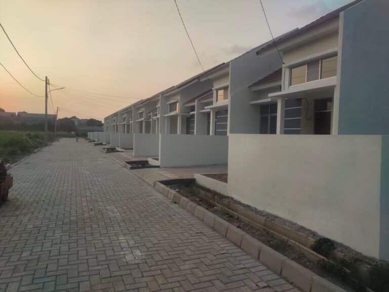 WhatsApp Image 2025-10-11 at 12.31